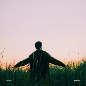 紫荊花盛开(说唱版)