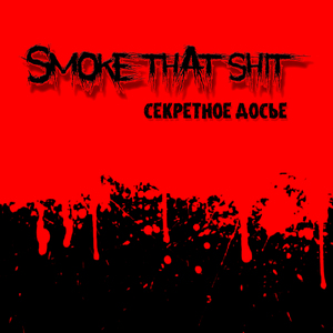 Секретное досье