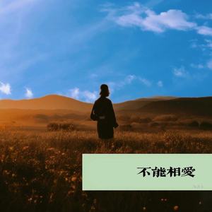 不能相爱（Demo）