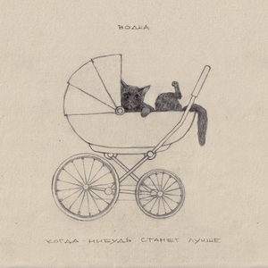 Заведу кота