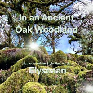 In an Ancient Oak Woodland