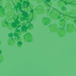 精彩周日放松环境