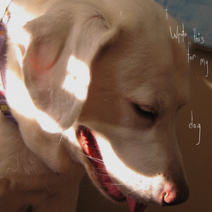 i wrote this for my dog