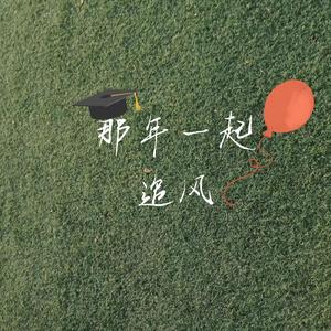 追风（少年追忆）