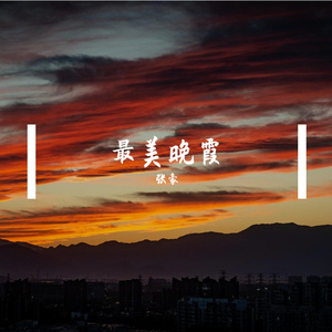 《夕阳红》张豪MIX