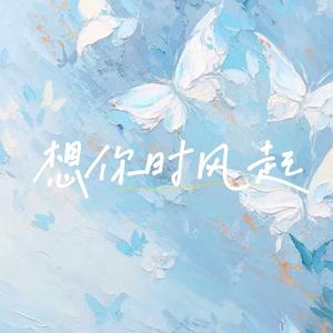 想你时风起