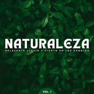 Llueve Mientras Conduzco