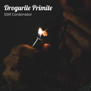 Drogurile Primite