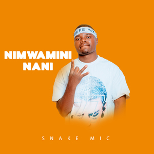 Nimwamini Nani