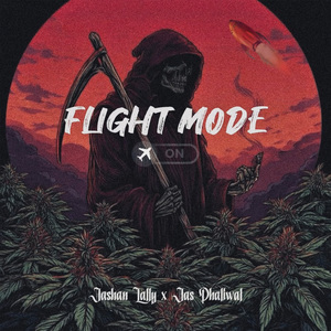 FLIGHT MODE