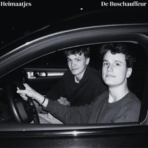 De Buschauffeur