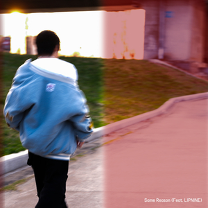 같은 이유