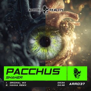 Shaker (Hakka Remix)