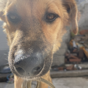 没活成自己想要的样子.wav