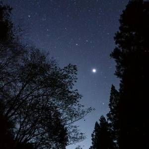 所念皆星河 伴奏