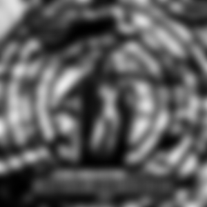 Pain Killer (Parte 2)