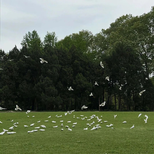 你像季风经过我的旷野