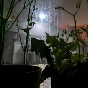 最甜情歌（温柔男声版）