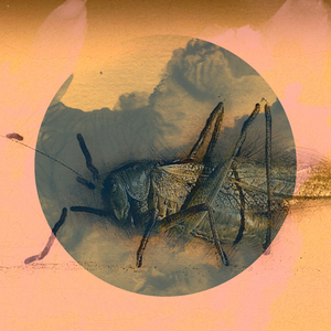 Poster Mist