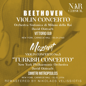 Violin Concerto in D Major, Op. 61, ILB 321:I. Allegro ma non troppo