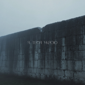 Я тебя укрою