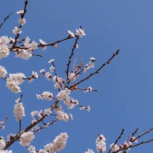 this is what autumn feels like（intro钢琴版）