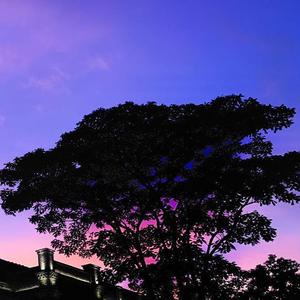 SLANDER-Love is Gone（R.S.&M.R. remix）