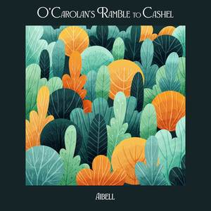 O'Carolan's Ramble to Cashel (Live Studio Version)