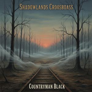 Devil’s Backroad (Dark Country)