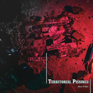 Territorial Pissings (Paranoid) (Cathode Ray Tube Remix)