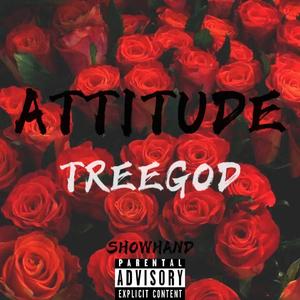 Attitude