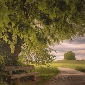 Free Beat 见所未见