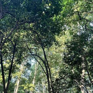 永不失联的爱（cover周兴哲）