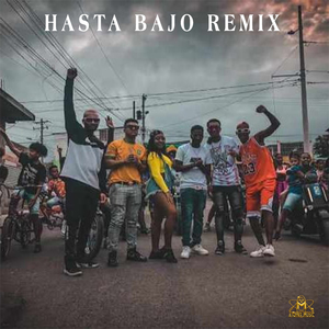 Hasta Bajo (Remix)