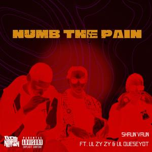 Numb The Pain (feat. Lil ZyZy & Lil Queseyot)