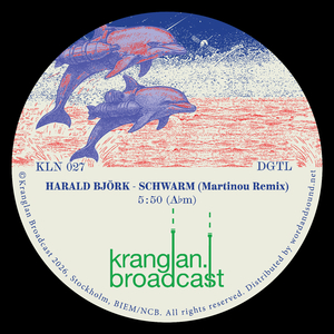 Schwarm (Martinou Remix)