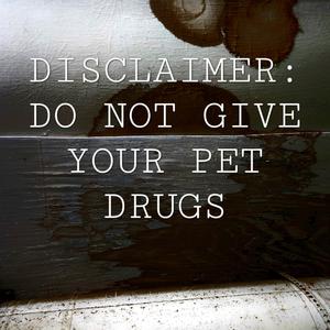 Give Your Pet Drugs
