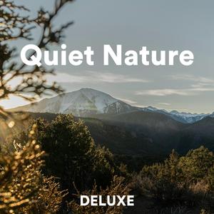 Quiet Nature