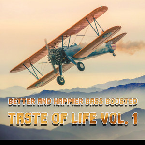 Organic Sound (Bass Boosted Mix)