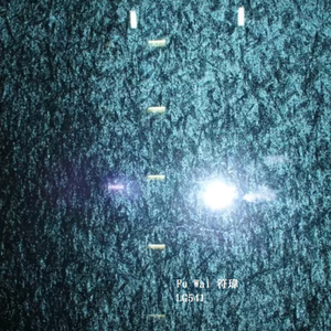 海南大餐廳 (要食飯無食毒)