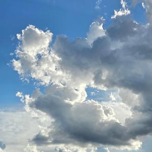 What You've Been Missing