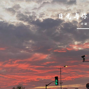 日光与你