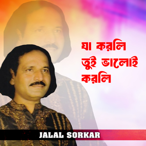 যা করলি তুই ভালোই করলি