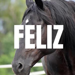 FELIZ