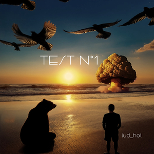 TEST N°1
