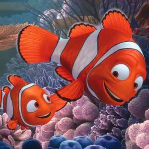 FINDING NEMO