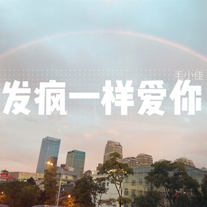 发疯一样爱你