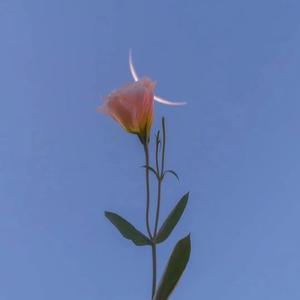 全球变冷（Demo）