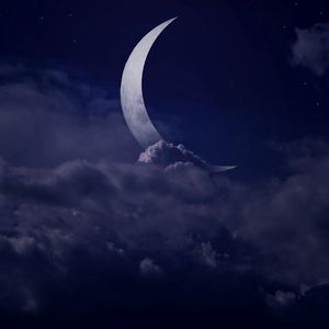 种一地月光(和声版)