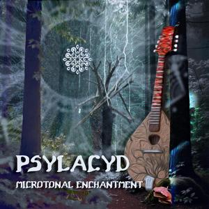 PsylAcyd - Amplified String Magik